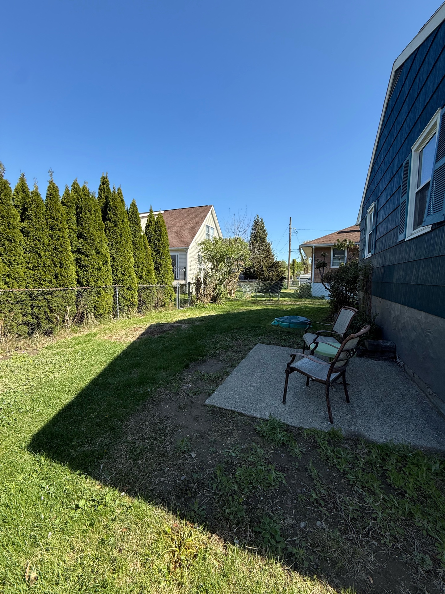 Side yard and patio edge