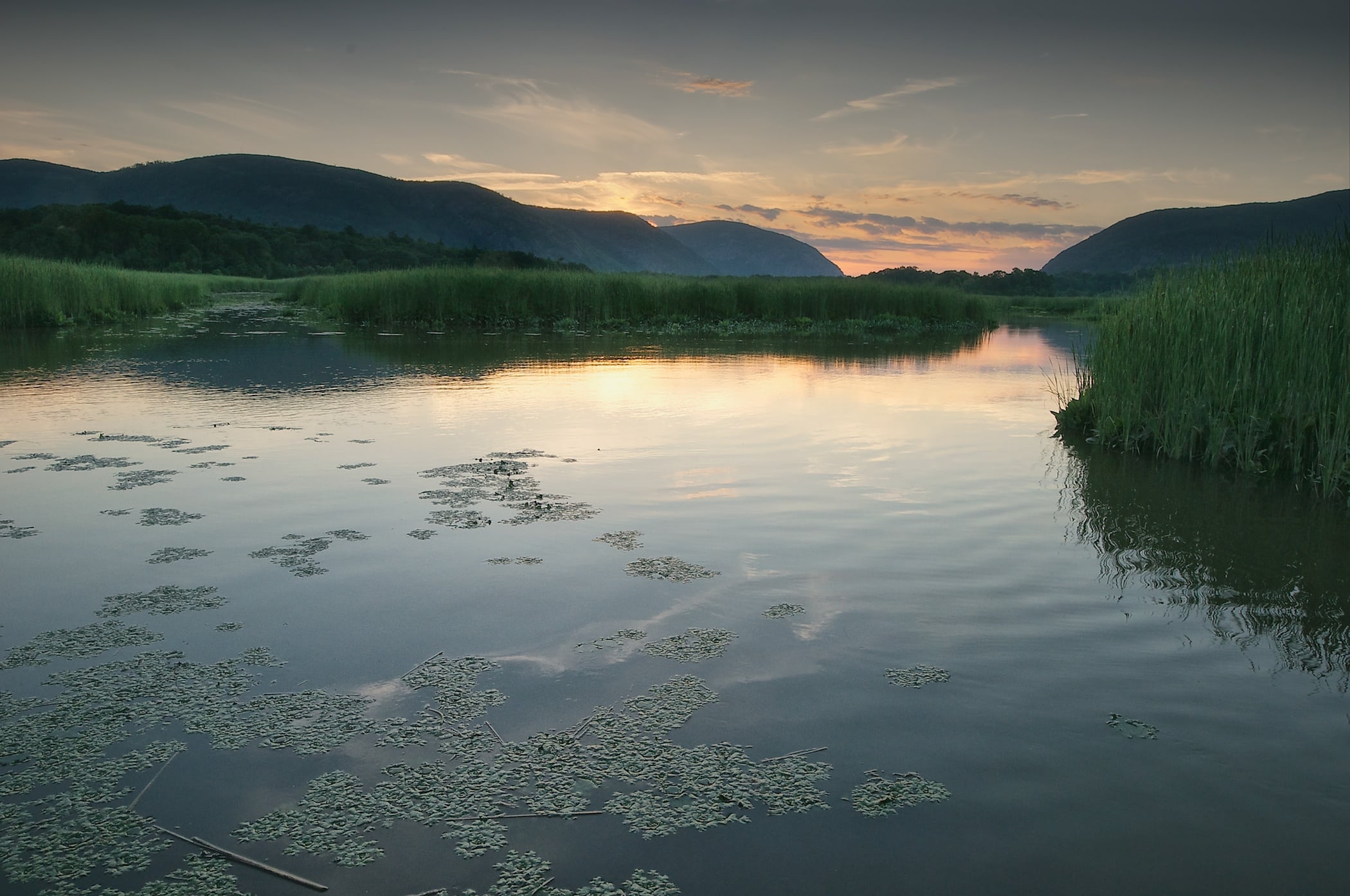 Constitution Marsh and the Hudson edge